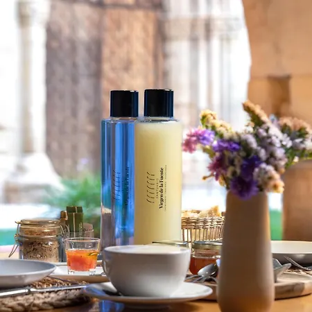 מלון Santuario Virgen De La Fuente *