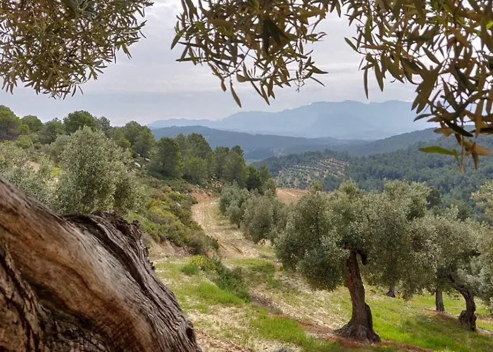 Santuario Virgen De La Fuente Hotell *